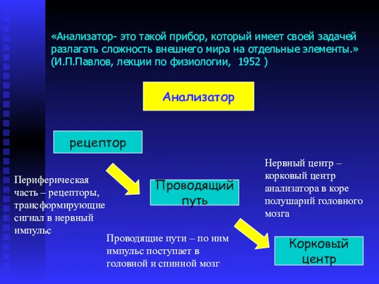 «Анализатор- это такой прибор, который имеет своей задачей разлагать сложность внешнего мира