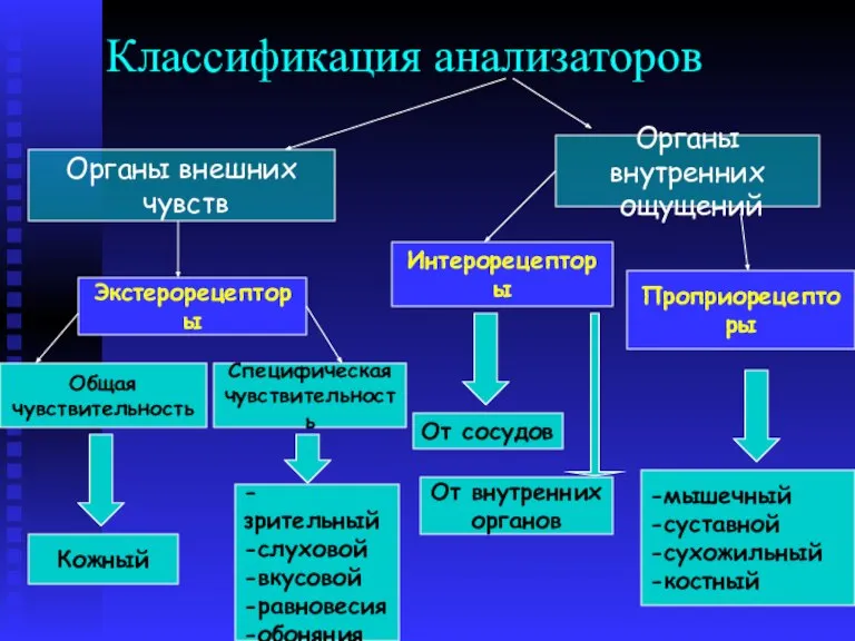 Классификация анализаторов