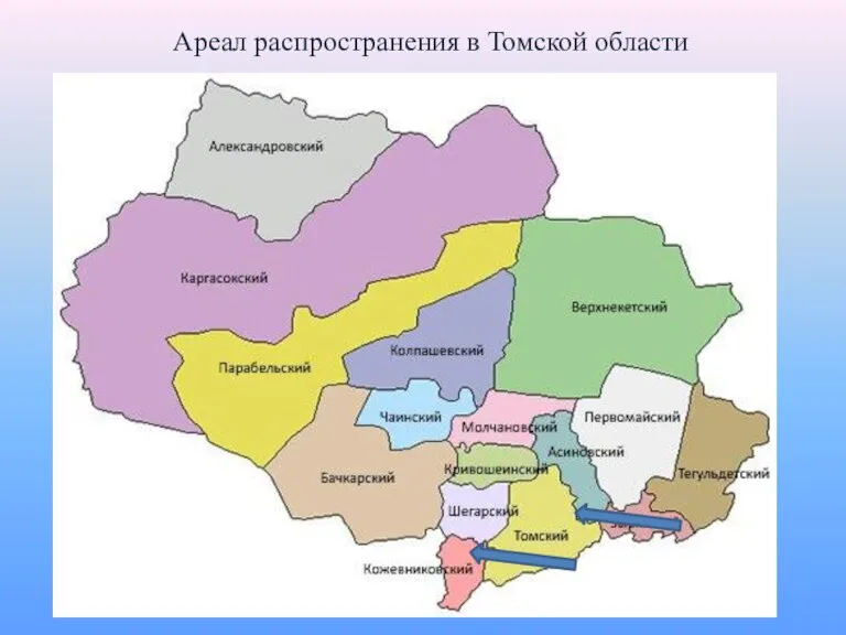 Ареал распространения в Томской области