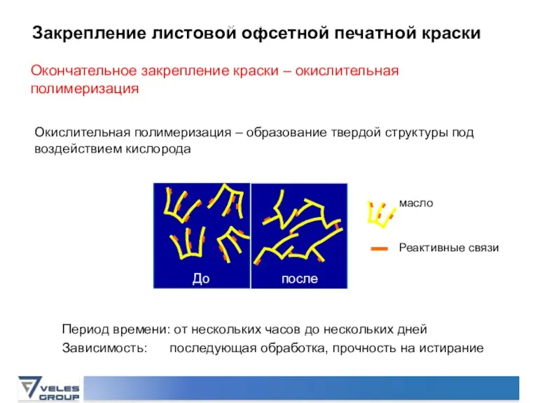 Закрепление листовой офсетной печатной краски Окончательное закрепление краски – окислительная полимеризация Окислительная