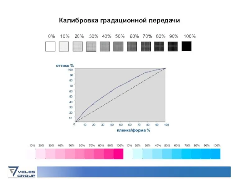 0% 10% 20% 30% 40% 50% 60% 70% 80% 90% 100% 10%