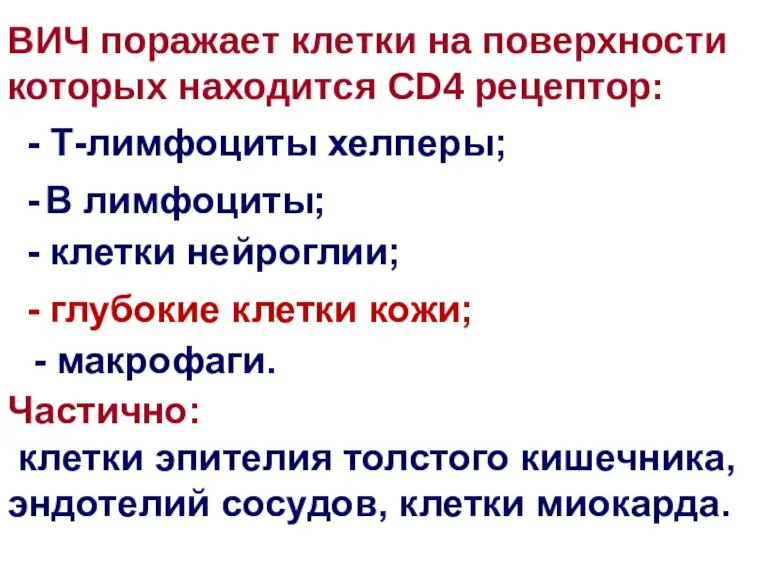 ВИЧ поражает клетки на поверхности которых находится СD4 рецептор: - Т-лимфоциты хелперы;