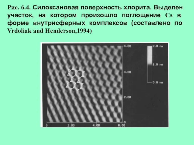 Рис. 6.4. Силоксановая поверхность хлорита. Выделен участок, на котором произошло поглощение Cs