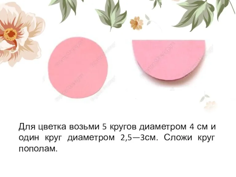 Для цветка возьми 5 кругов диаметром 4 см и один круг диаметром 2,5—3см. Сложи круг пополам.