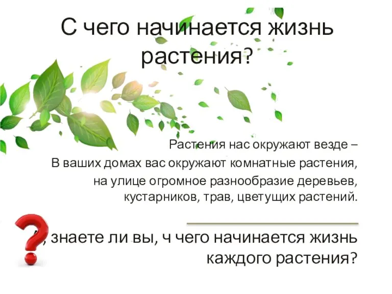 С чего начинается жизнь растения? Растения нас окружают везде – В ваших