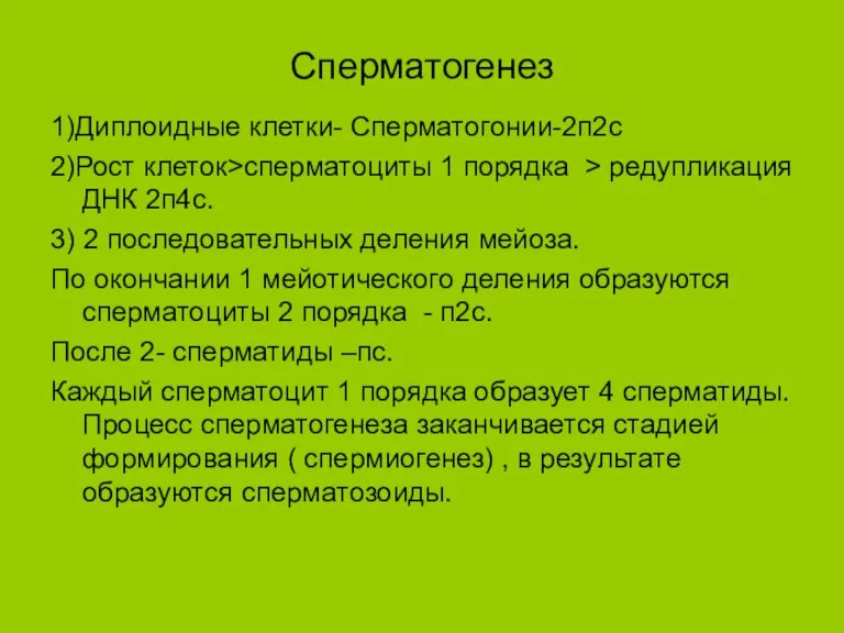 Сперматогенез 1)Диплоидные клетки- Сперматогонии-2п2с 2)Рост клеток>сперматоциты 1 порядка > редупликация ДНК 2п4с.