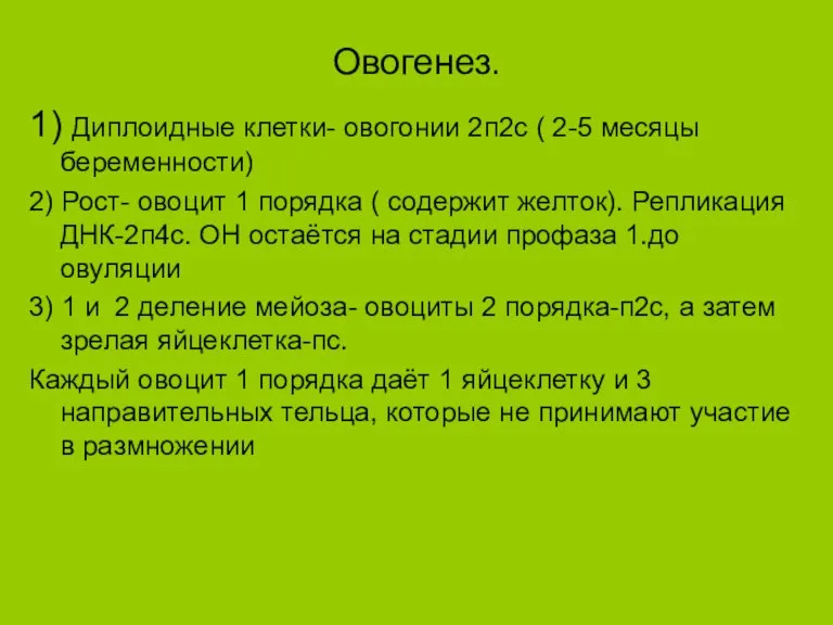 Овогенез. 1) Диплоидные клетки- овогонии 2п2с ( 2-5 месяцы беременности) 2) Рост-