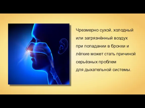 Чрезмерно сухой, холодный или загрязнённый воздух при попадании в бронхи и лёгкие