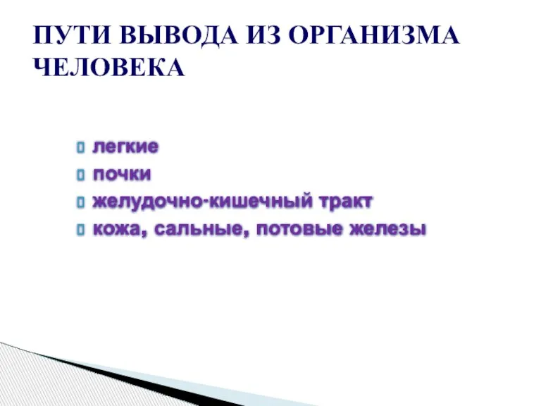 легкие почки желудочно-кишечный тракт кожа, сальные, потовые железы ПУТИ ВЫВОДА ИЗ ОРГАНИЗМА ЧЕЛОВЕКА