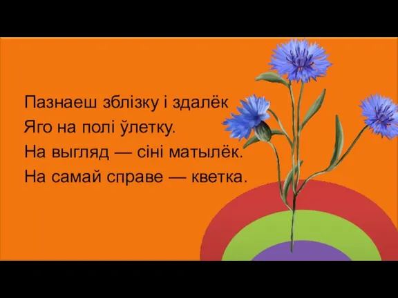 Пазнаеш зблізку і здалёк Яго на полі ўлетку. На выгляд — сіні