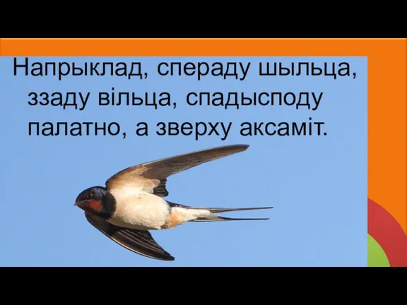 Напрыклад, спераду шыльца, ззаду вільца, спадысподу палатно, а зверху аксаміт.