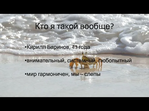 Кто я такой вообще? Кирилл Баринов, 43 года внимательный, системный, любопытный мир гармоничен, мы – слепы