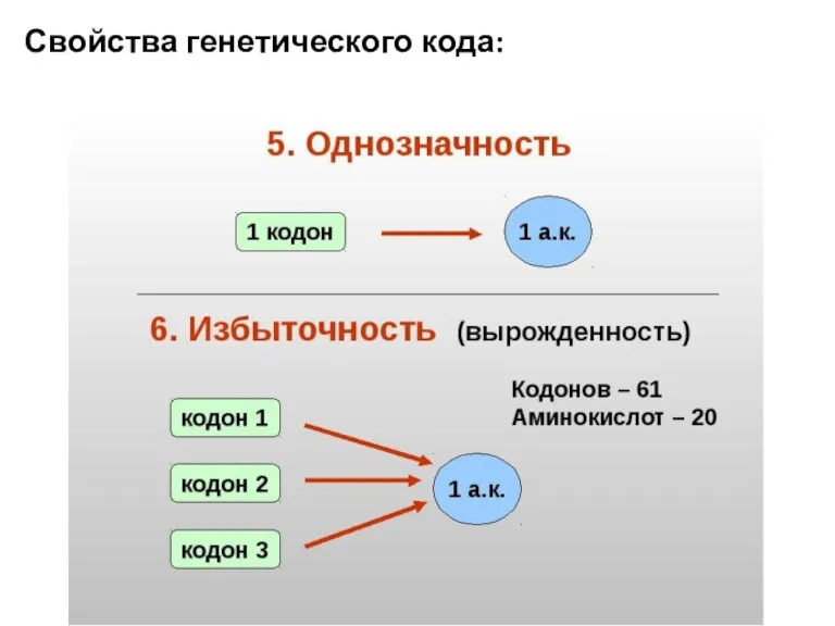 Свойства генетического кода: