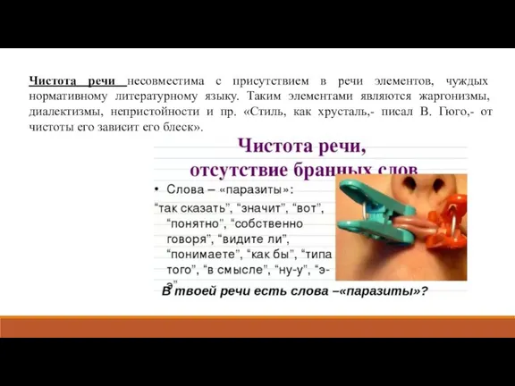 Чистота речи несовместима с присутствием в речи элементов, чуждых нормативному литературному языку.