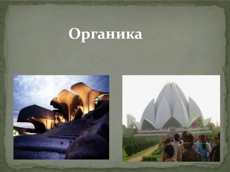 Органика Органика