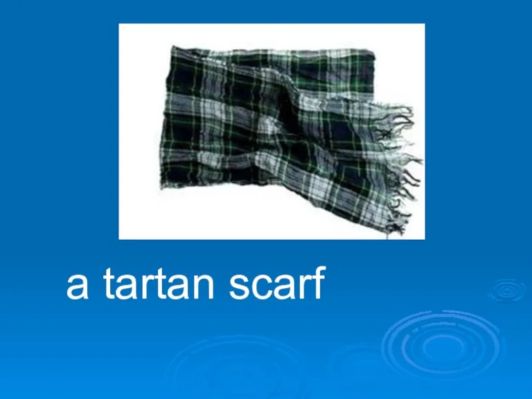 a tartan scarf