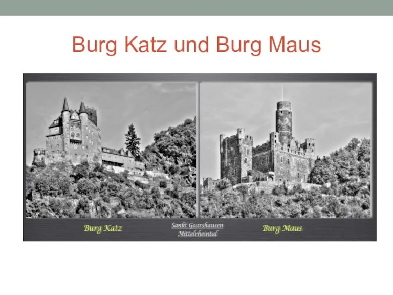 Burg Katz und Burg Maus