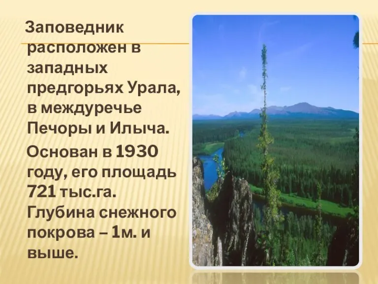 Заповедник расположен в западных предгорьях Урала, в междуречье Печоры и Илыча. Основан