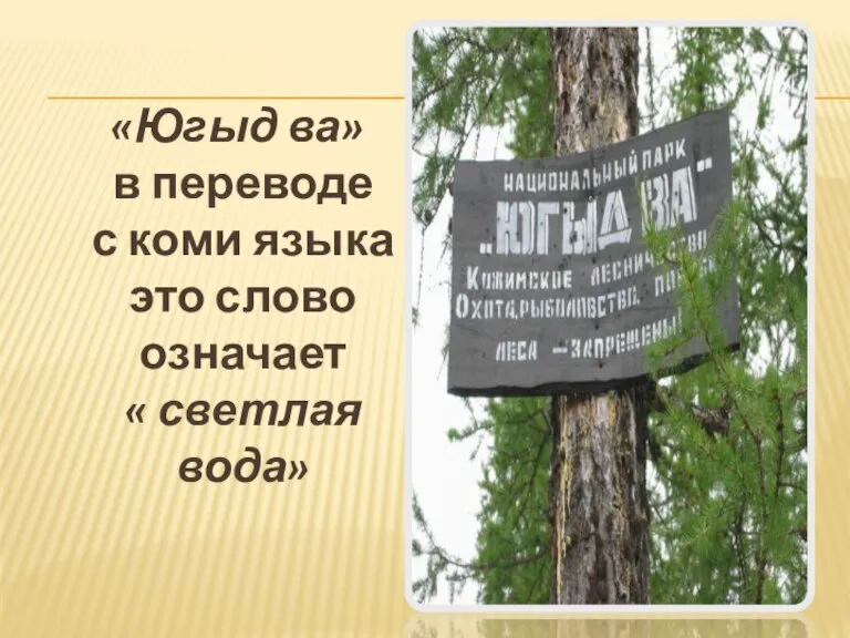 «Югыд ва» в переводе с коми языка это слово означает « светлая вода»