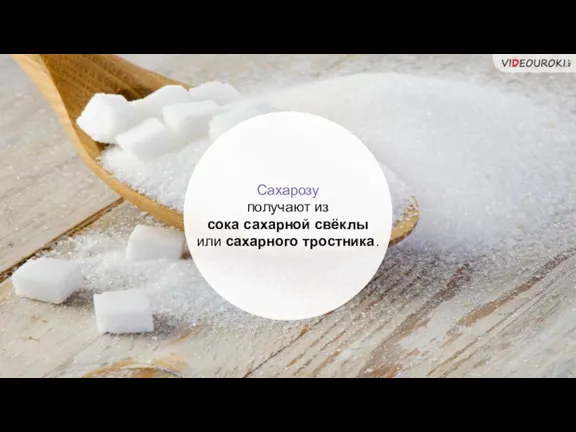 Сахарозу получают из сока сахарной свёклы или сахарного тростника.