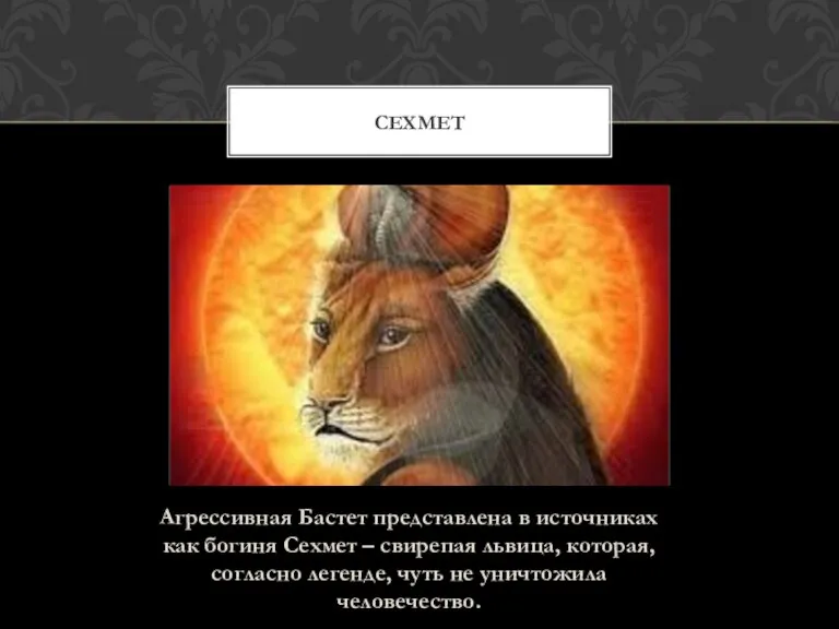 Агрессивная Бастет представлена в источниках как богиня Сехмет – свирепая львица, которая,