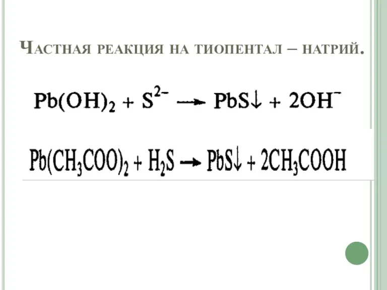 Частная реакция на тиопентал – натрий.