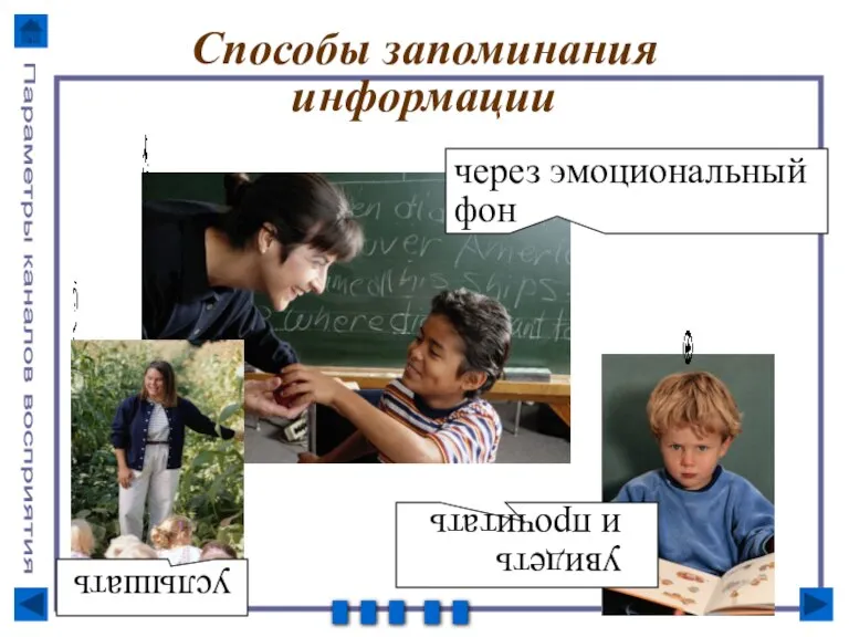 Способы запоминания информации увидеть и прочитать через эмоциональный фон услышать Параметры каналов восприятия