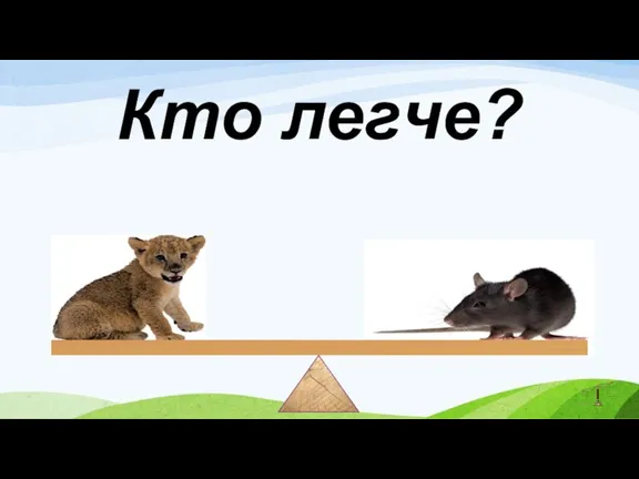 Кто легче?