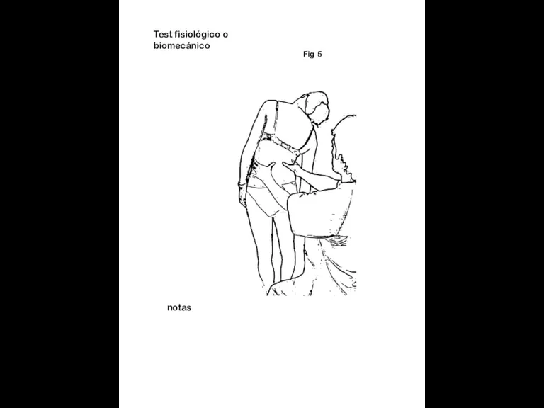 Test fisiológico o biomecánico Fig 5 notas