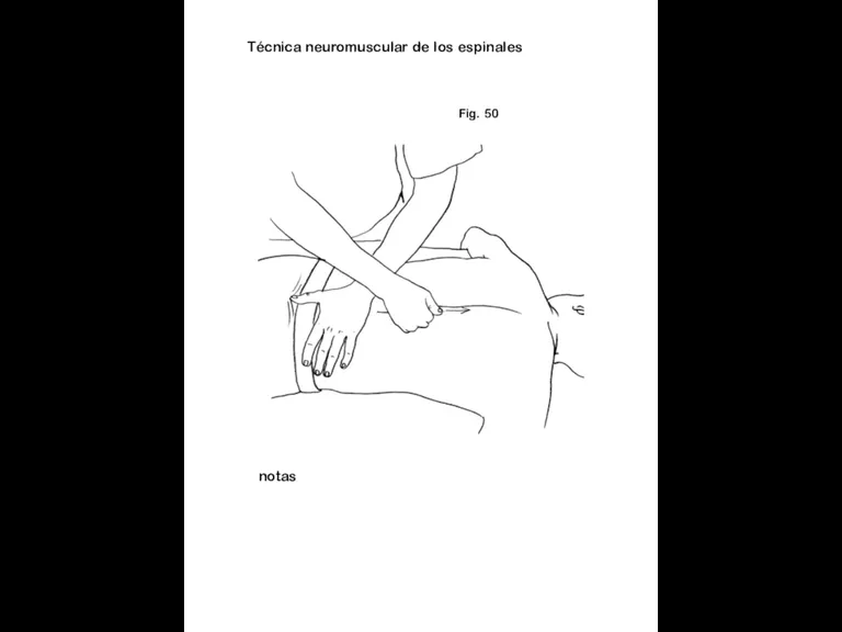 Fig. 50 notas Técnica neuromuscular de los espinales