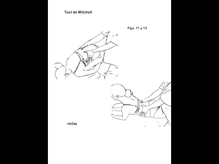 Figs. 11 y 12 notas Test de Mitchell