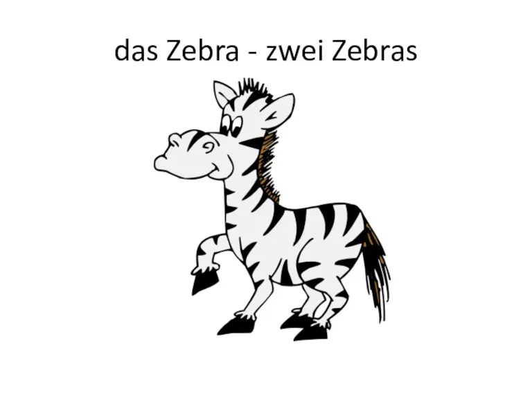 das Zebra - zwei Zebras
