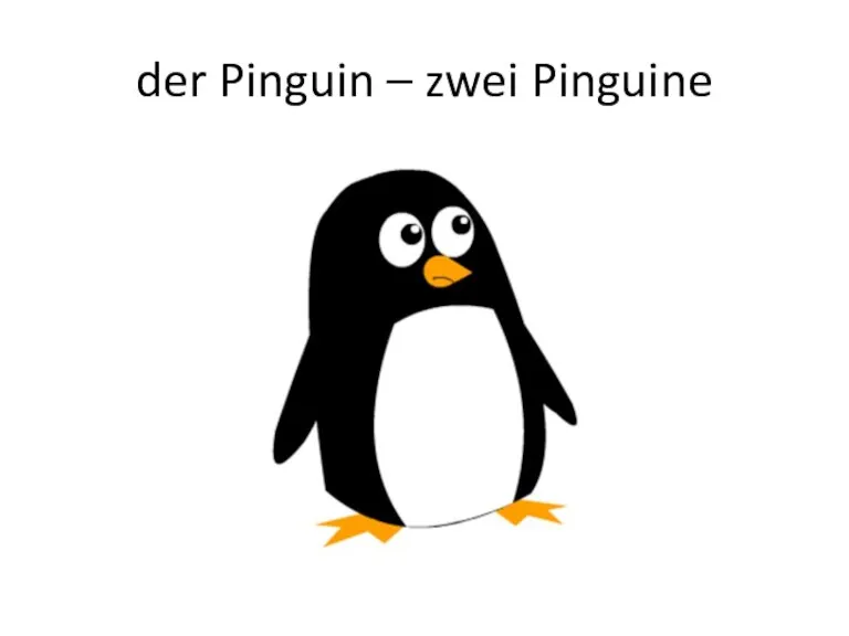 der Pinguin – zwei Pinguine
