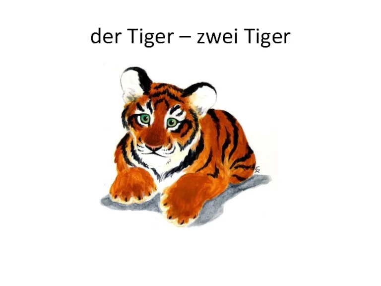 der Tiger – zwei Tiger