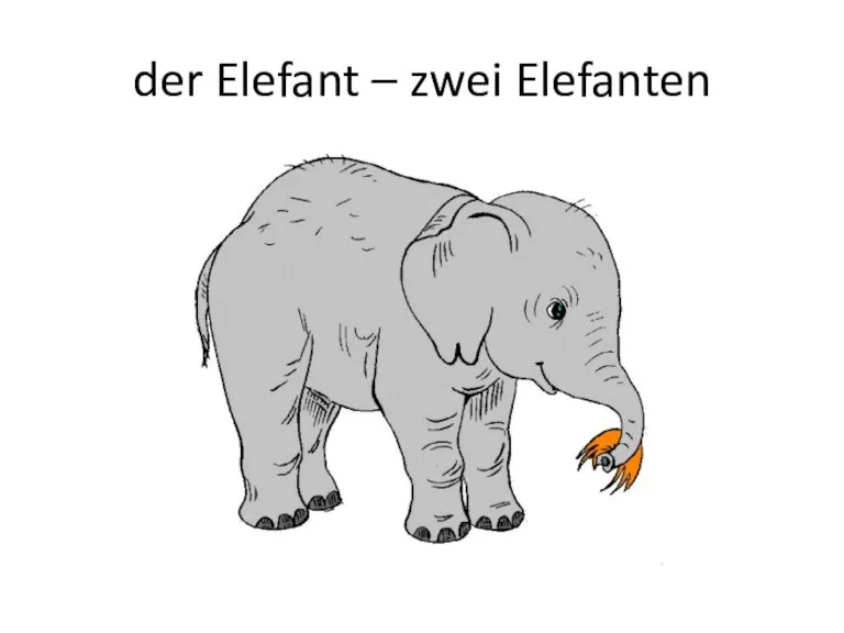 der Elefant – zwei Elefanten