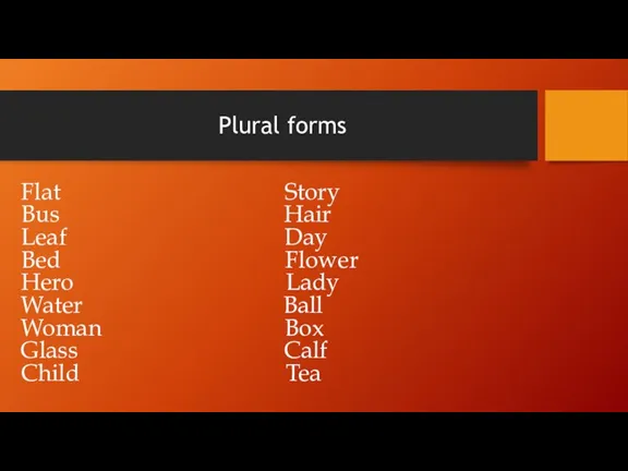 Plural forms Flat Story Bus Hair Leaf Day Bed Flower Hero Lady