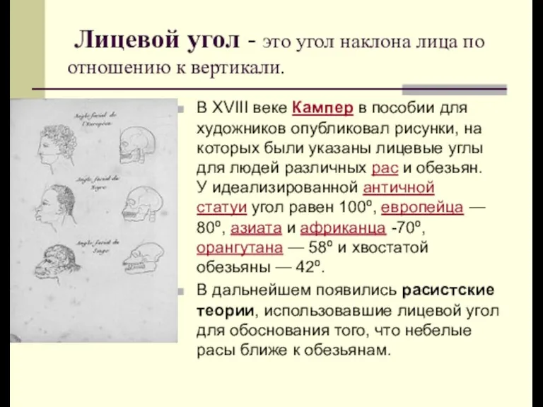 Лицевой угол - это угол наклона лица по отношению к вертикали. В