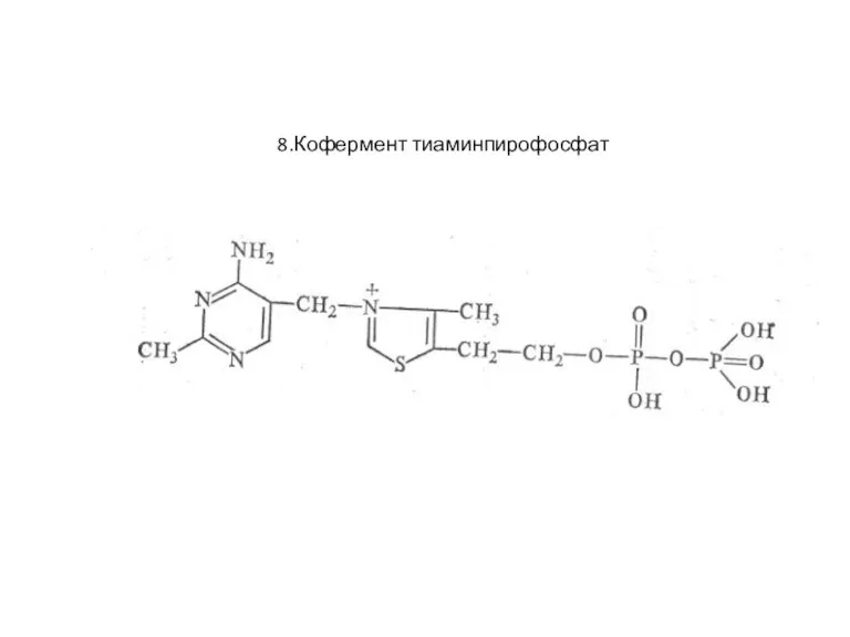 8.Кофермент тиаминпирофосфат