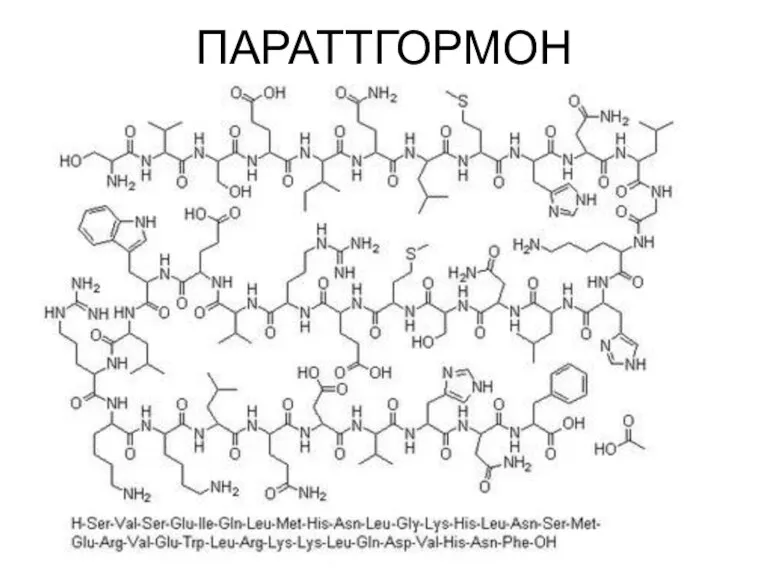 ПАРАТТГОРМОН