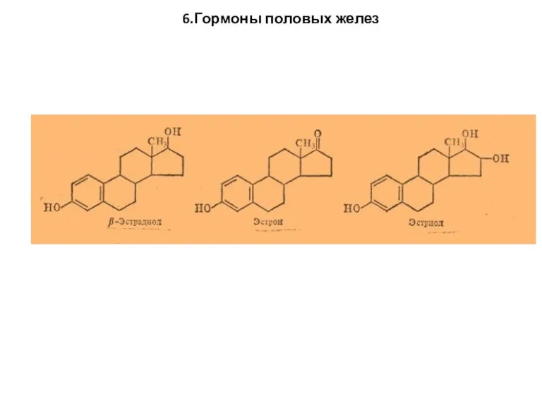 6.Гормоны половых желез