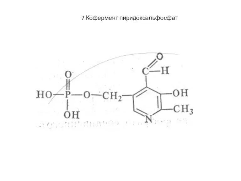 7.Кофермент пиридоксальфосфат