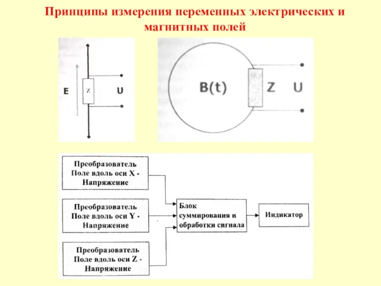 Принципы измерения переменных электрических и магнитных полей