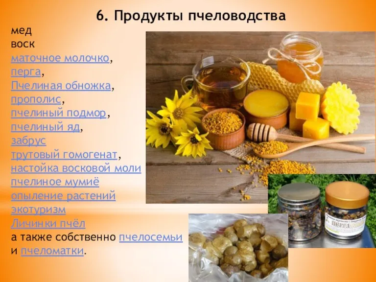 6. Продукты пчеловодства мед воск маточное молочко, перга, Пчелиная обножка, прополис, пчелиный
