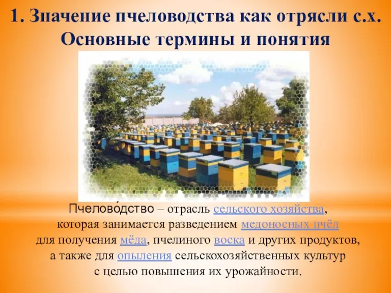 1. Значение пчеловодства как отрясли с.х. Основные термины и понятия Пчелово́дство –