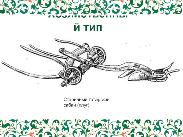 Хозяйственный тип Старинный татарский сабан (плуг)