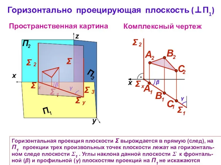 Горизонтально проецирующая плоскость (⊥П1) Пространственная картина Комплексный чертеж y z Горизонтальная проекция