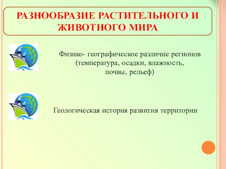 РАЗНООБРАЗИЕ РАСТИТЕЛЬНОГО И ЖИВОТНОГО МИРА Физико- географическое различие регионов (температура, осадки, влажность,