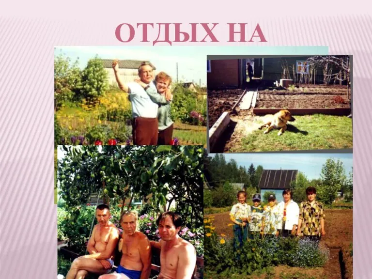 ОТДЫХ НА ДАЧЕ