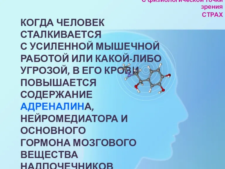 КОГДА ЧЕЛОВЕК СТАЛКИВАЕТСЯ С УСИЛЕННОЙ МЫШЕЧНОЙ РАБОТОЙ ИЛИ КАКОЙ-ЛИБО УГРОЗОЙ, В ЕГО