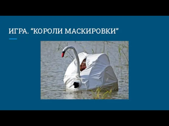 ИГРА. “КОРОЛИ МАСКИРОВКИ”